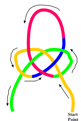 Double Coin Knot Drawing